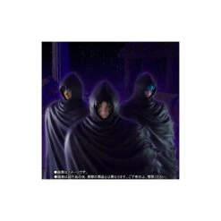 Bandai Saint Seyia Myth Cloth EX Coat Set Renegade Gold Saint Surplice TamashiWeb Exclusive 7 Bandai Saint Seyia Myth Cloth EX Coat Set Renegade Gold Saint Surplice TamashiWeb Exclusive -Negozio Funko bandai saint seyia myth cloth ex coat set renegade gold saint surplice tamashiweb exclusive 3