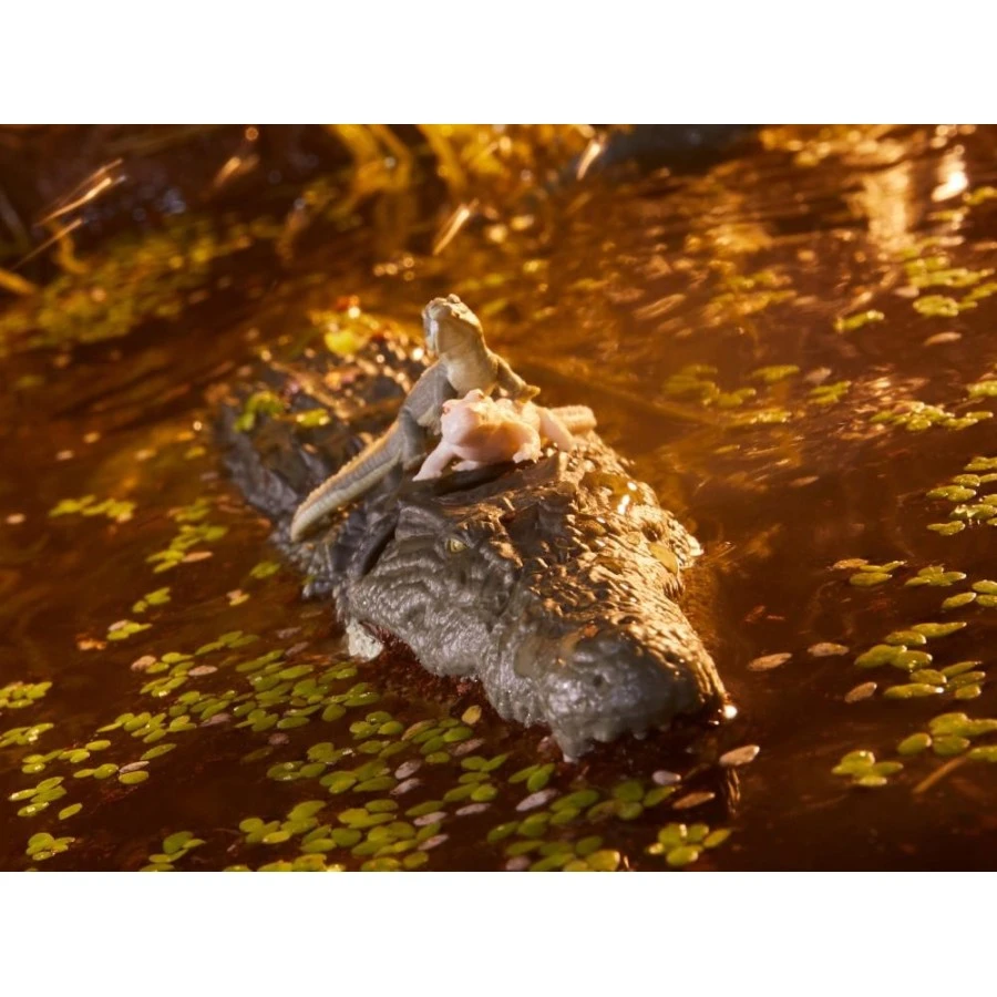 Hasbro G.I. Joe Classified Series Croc Master & Fiona 8 Hasbro G.I. Joe Classified Series Croc Master & Fiona - Image 8