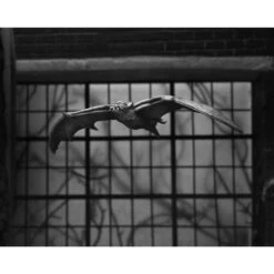 Neca Universal Monsters Ultimate Dracula Carfax Abbey -Negozio Funko neca universal monsters ultimate dracula carfax abbey 13